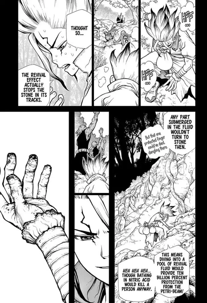 Dr. Stone Chapter 135 11